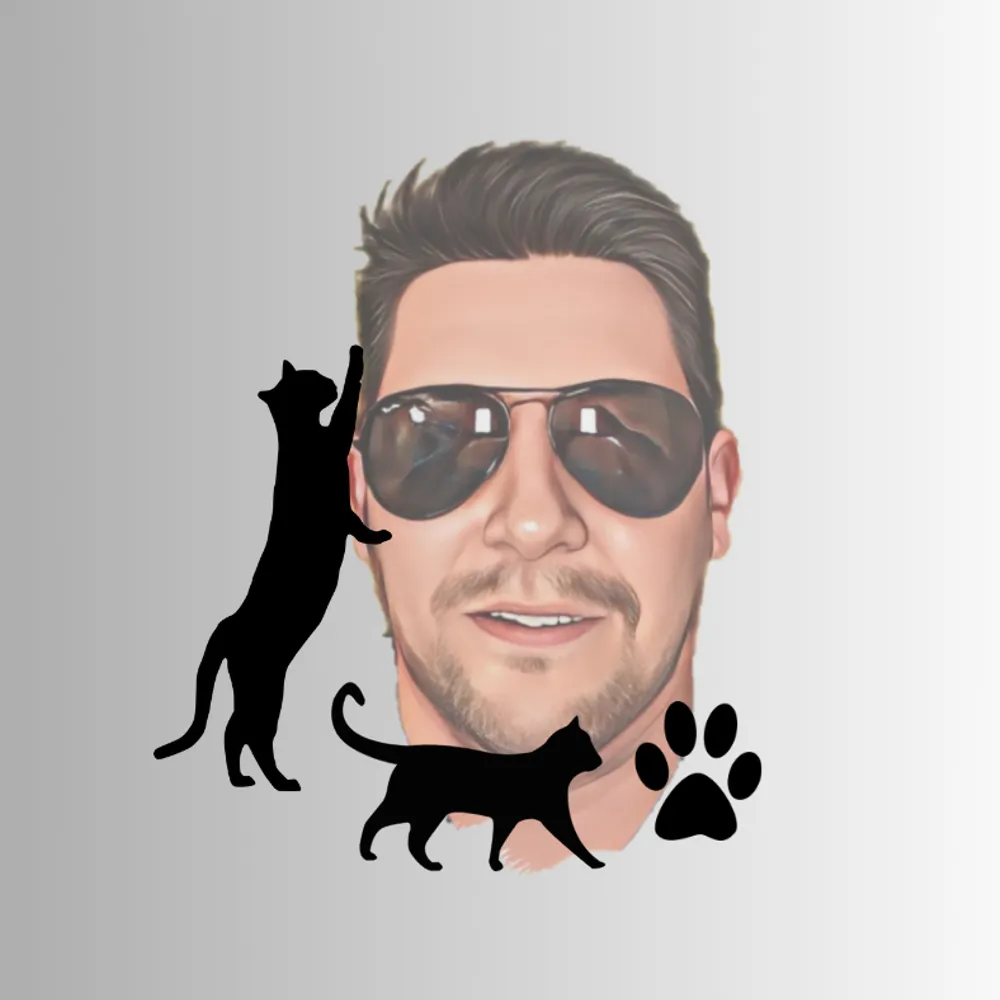 The Cats of Istanbul