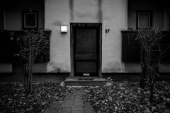 Building entrance, with leaves on the ground, dark