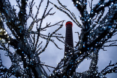 Industrial chimney, seen through the branch of a Christmas tree