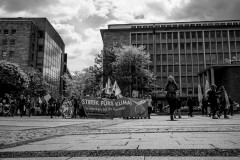 FridaysForFuture in Essen
