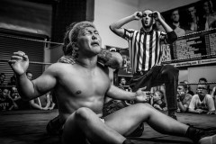 wXW Wrestling