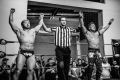 wXW Wrestling