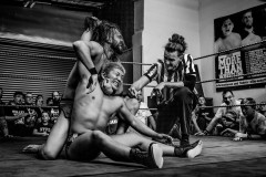 wXW Wrestling
