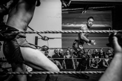 wXW Wrestling