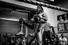 wXW Wrestling