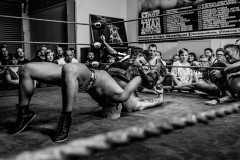wXW Wrestling