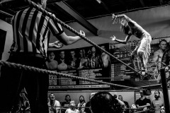 wXw Wrestling