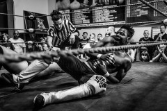 wXw Wrestling