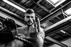 wXw Wrestling