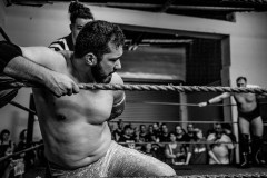 wXw Wrestling