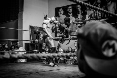 wXw Wrestling