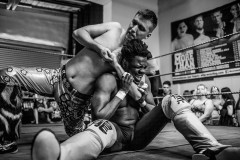 wXw Wrestling