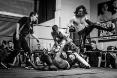wXw Wrestling