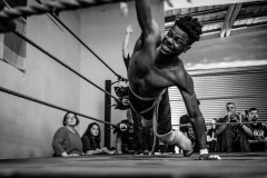 wXw Wrestling