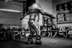wXw Wrestling