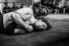 wXw Wrestling