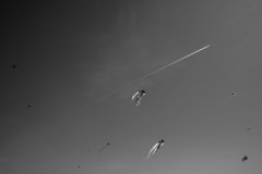 Kites flying below a clear blue sky at the Kite Festival in Berlin