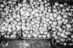 At the market