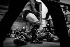 wXw Academy Wrestling
