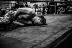 wXw Academy Wrestling