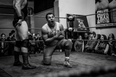 wXw Academy Wrestling