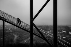 Tiger & Turtle