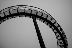 Tiger & Turtle