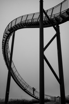 Tiger & Turtle