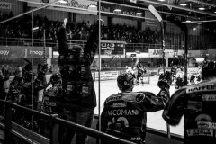 Ice hockey at Moskitos, Essen