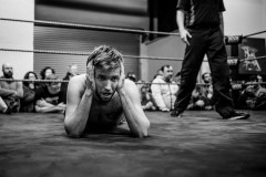 wXw Wrestling