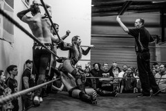 wXw Wrestling