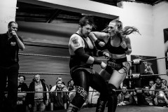 wXw Wrestling