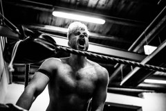 wXw Wrestling