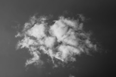 A cloud in the sky