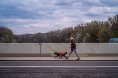 A man and his dog are crossing the bridge