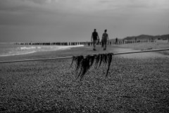 At the beach