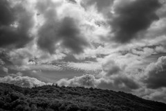 Electrical towers peak out from a wooded hill with a dramatic cloud cover above