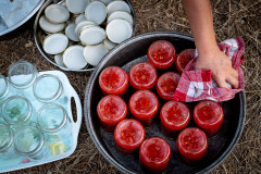 Tomatoe mash filled up in glasses