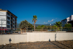 A rusty fence, palm tree and blue sky