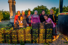 A group of fruit pickers are posing for a photograph