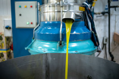 The finished oil coming out of the press