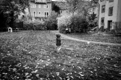 My daughter enjoying the falling leaves in the backyard