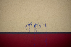 Purple splash of color against a yellow and red wall