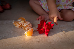 Pealed orange pieces in the afternoon sunlight next to a red blossom