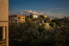 The neighborhood in warm sunset colors