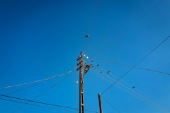 Pigeons sitting on power lines infront of a blue sky