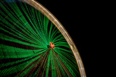Ferris wheel in blurred motion, covered in green light