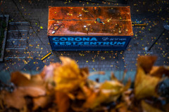 The dirty, orange roof of a shipping container, housing a Corona test center, is seen from above – the lower half of the image is occupied by an out-of-focus windowsill covered in matching orange leaves