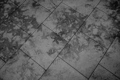 Mark on the pavement left by autumn leaves