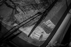 Heap of trash including a pizza box seen through a cars wet windshield